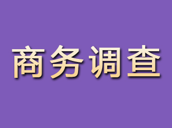 双台子商务调查